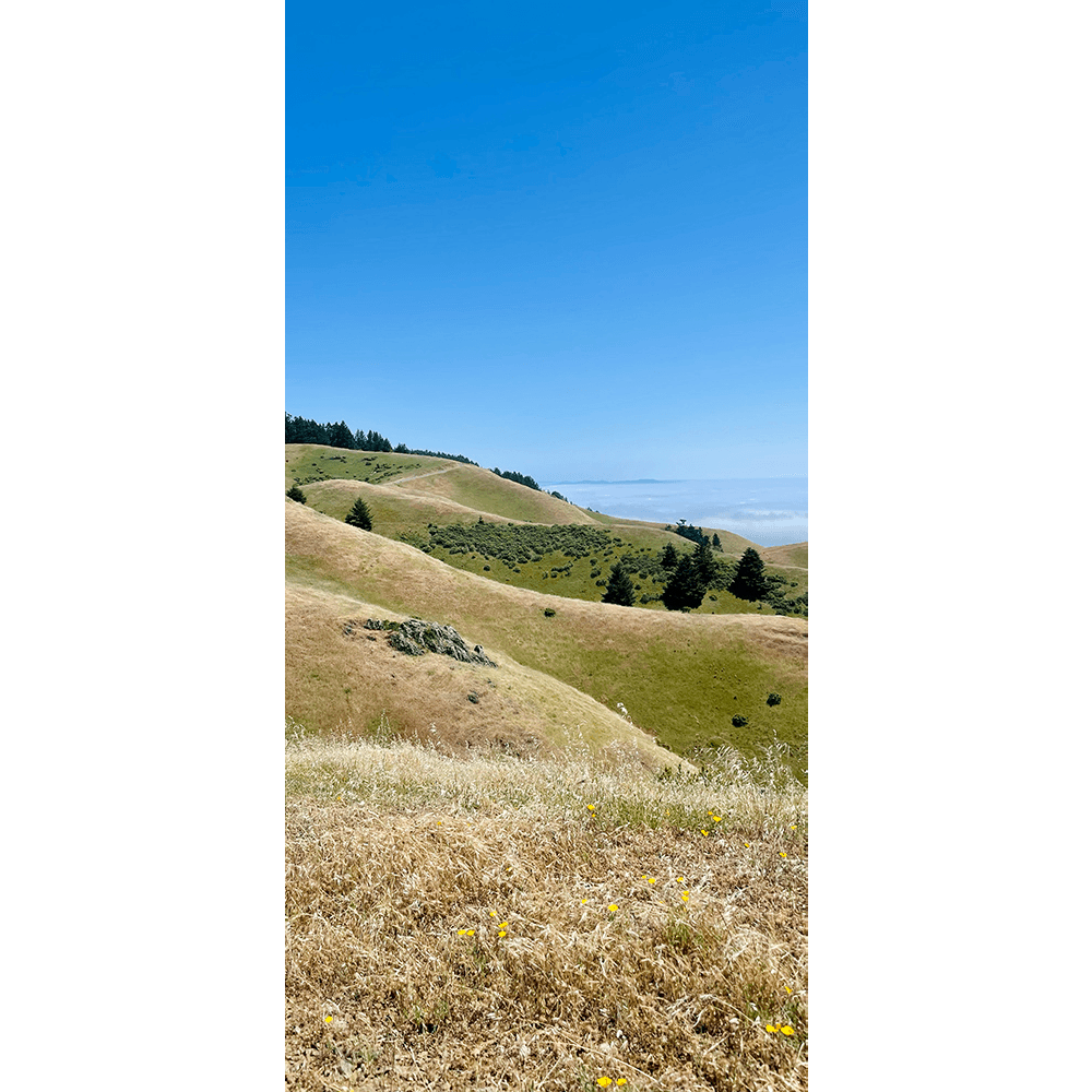 2lSQvq745QTRgt7FED1Qdq